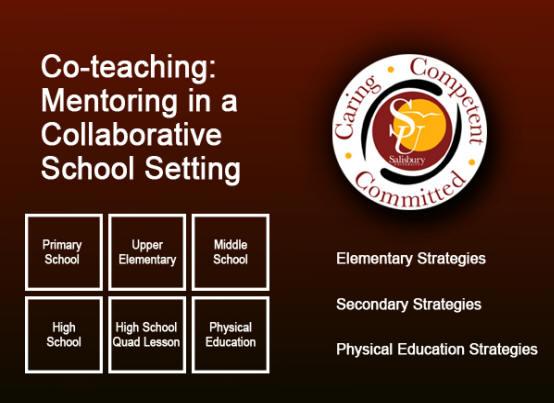 Co-teaching: Mentoring in a Collaborative School Setting