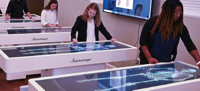 Virtual Anatomy Learning Lab