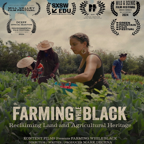 Farming While Black 