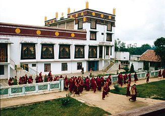 Drepung Loseling Monastery-in-exile in India