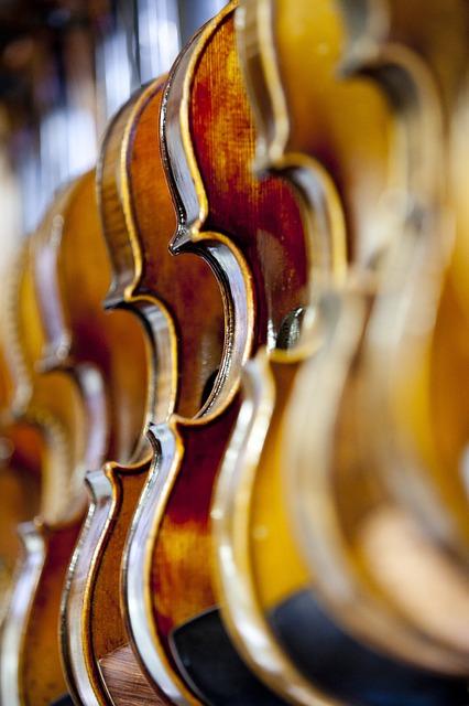 violins in a rack