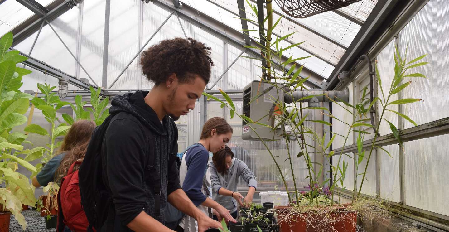 student working in greenhouse