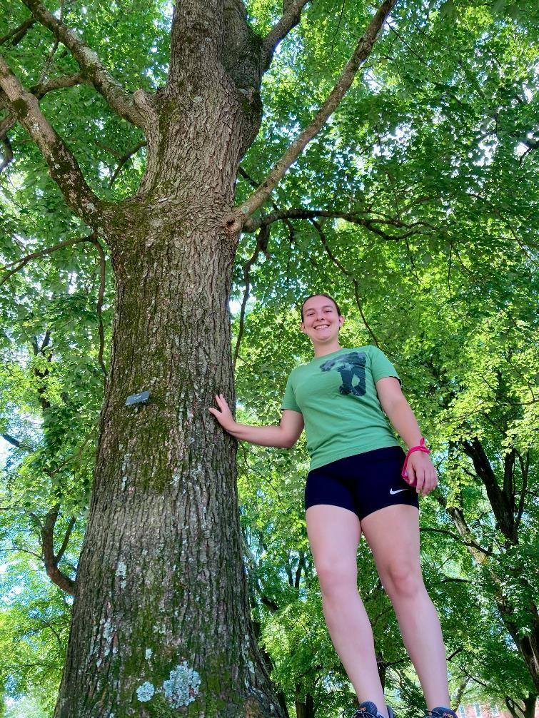 One of the SUPP trees, red maple CM019, with SU graduate student Amanda Rocker who helped to set up SUPP