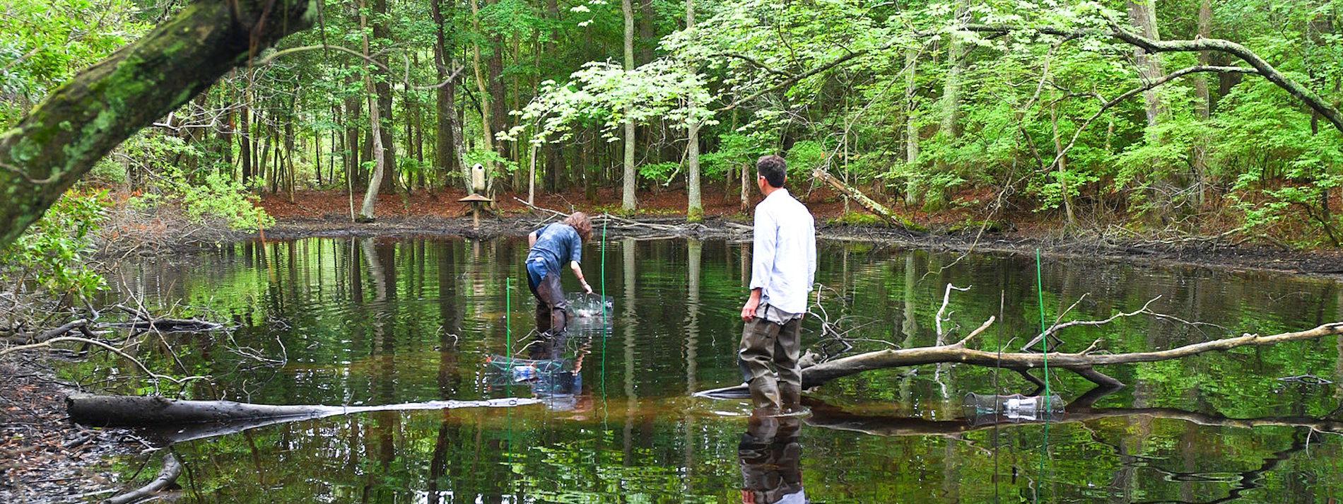 Liebgold and student research in pond