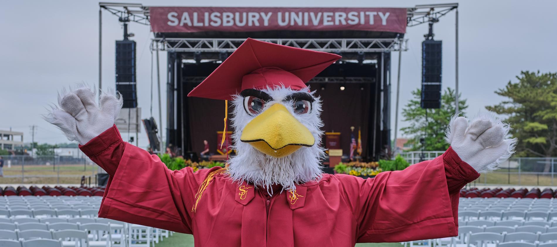 Sammy the Sea Gull in commencement reglia