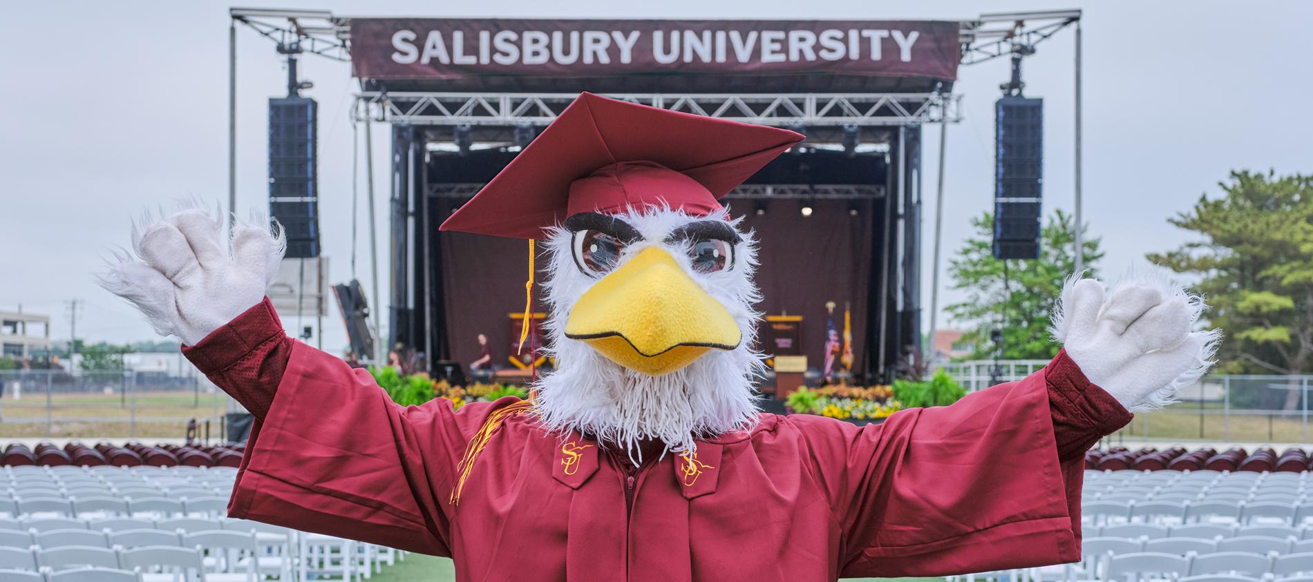 Sammy the Sea Gull in commencement reglia