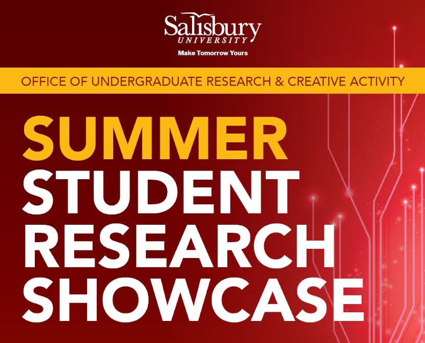 Student Summer Research 2024