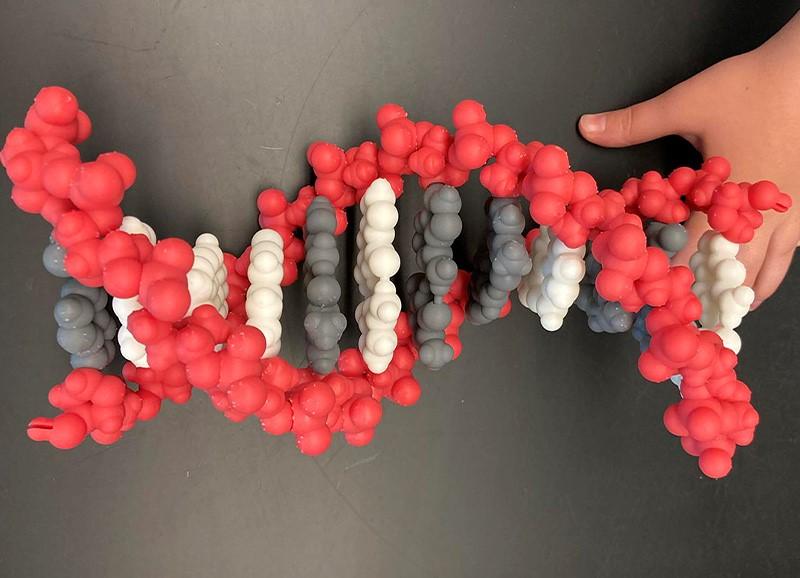 3D printer DNA stand