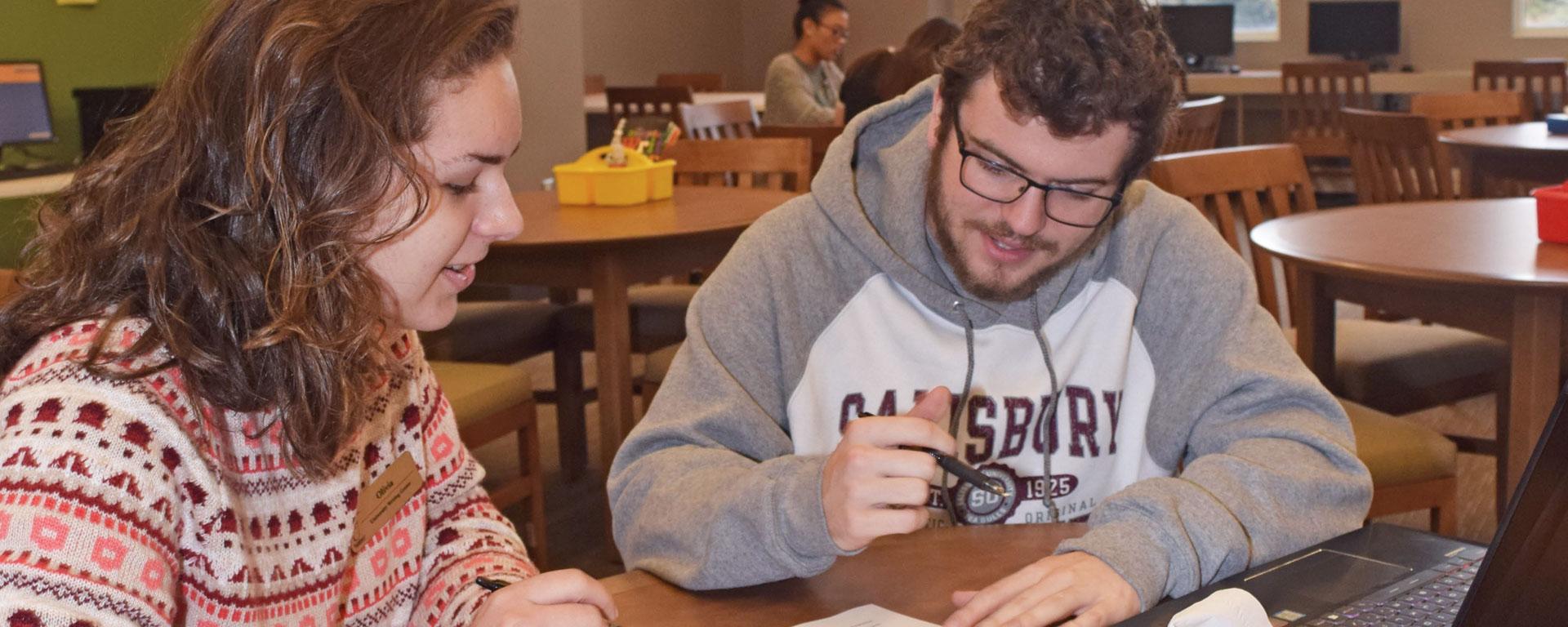 Students working in the Student Writing Center