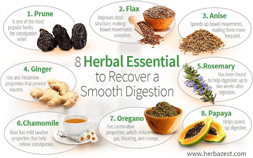 8 herbal Essential to recover a smooth digestion