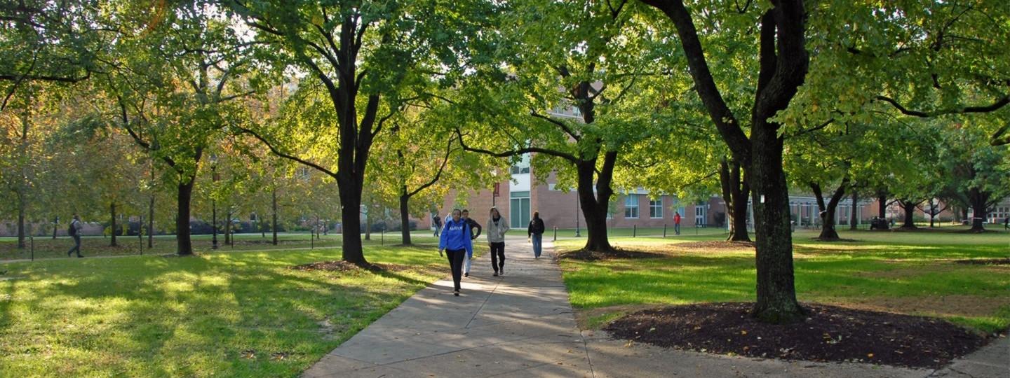 students walking under tress on campus