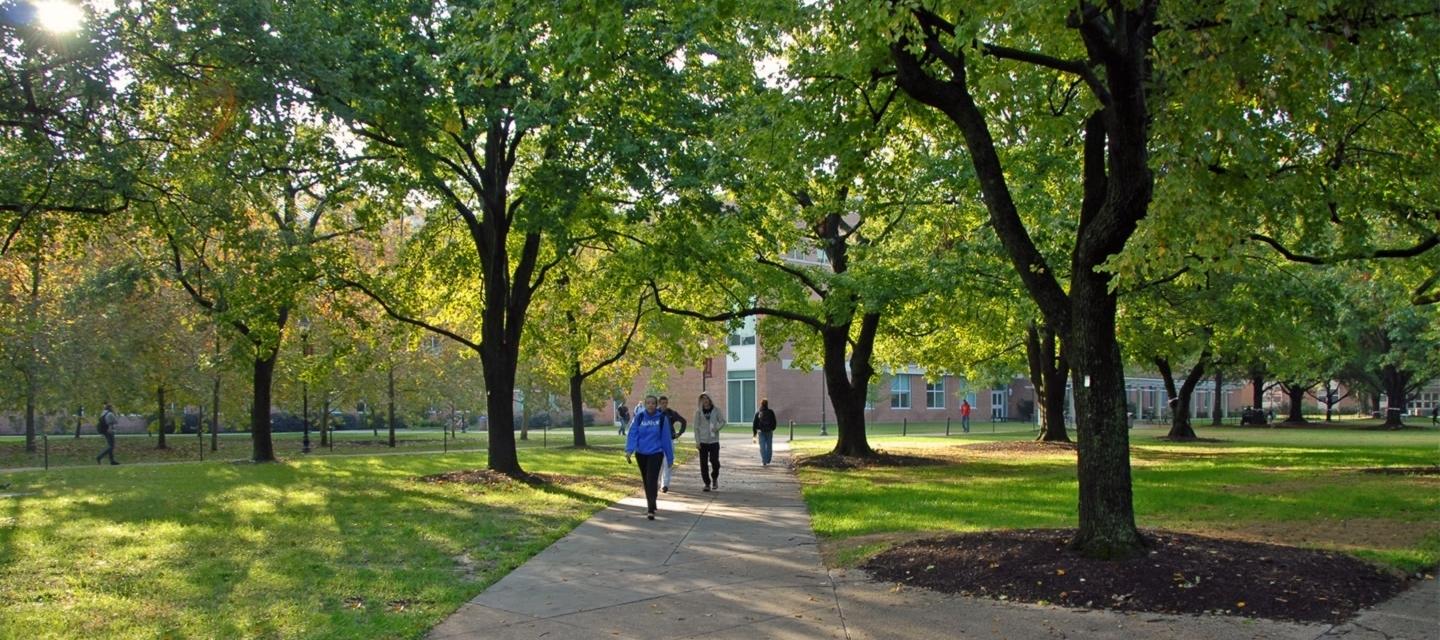 students walking under tress on campus