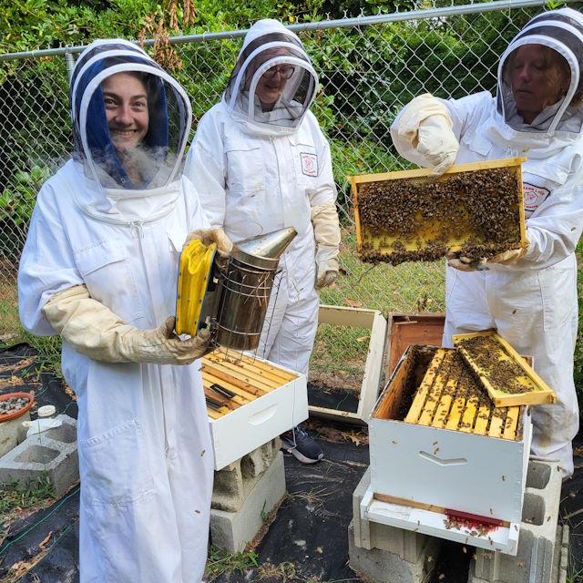 SU Apiary