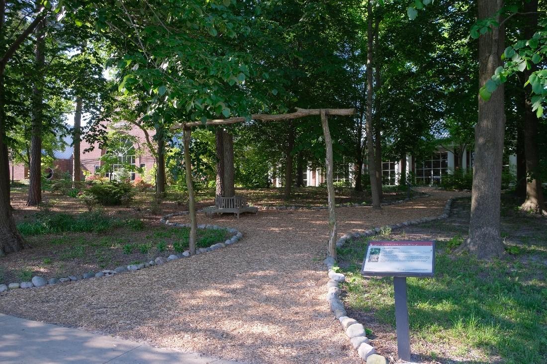 SU’s Native Species Garden adjacent to the Commons Building