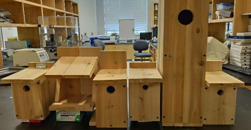 Different size nest boxes built for campus