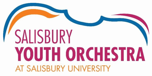 The Salisbury Youth Orchestra