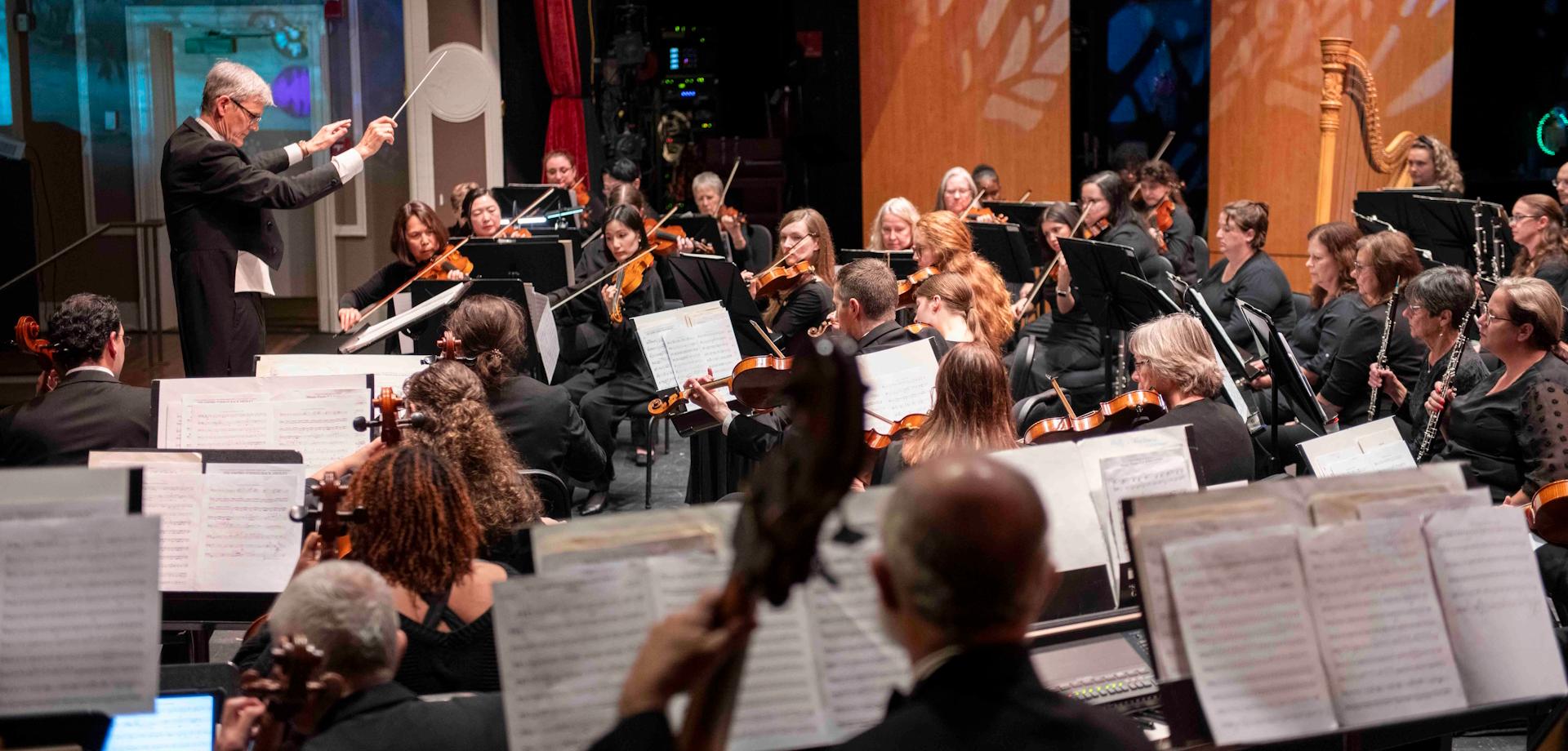 Salisbury Symphony Orchestra