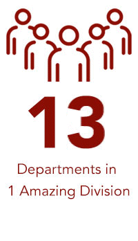 13 Departments in 1 Amazing Division text and icon