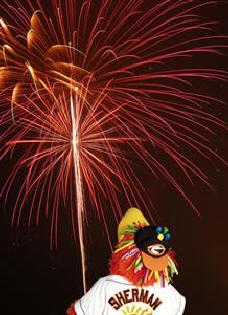 delmarva shorebirds mascot overlooking fireworks