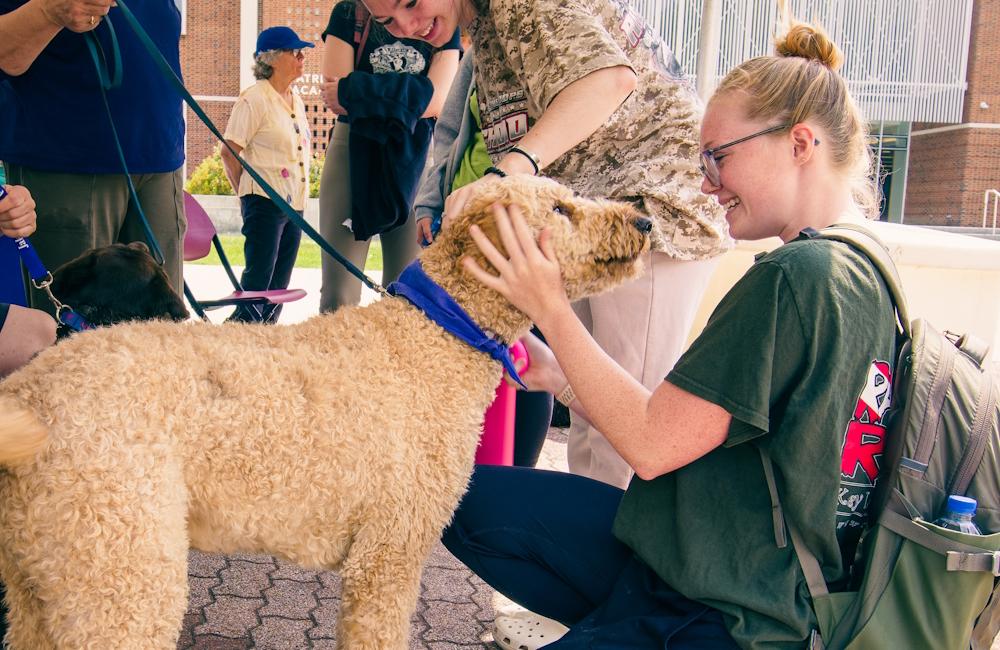 Student petting a dog linking to outreach services and Counseling Center events