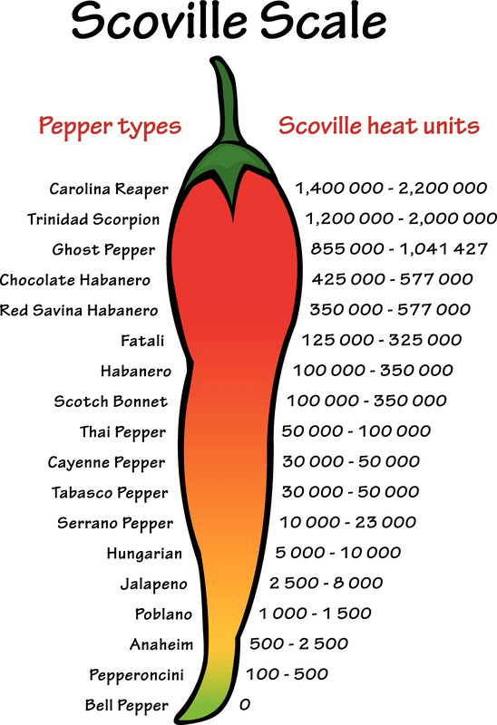 Compound Interest: Why Chilli Peppers are Spicy: The Chemistry of a Chilli