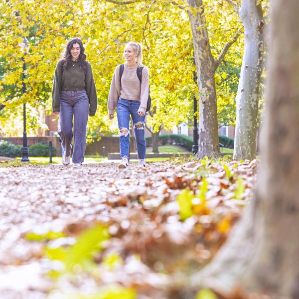 campus-trees600x600.jpg