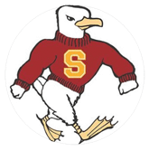 Sammy the Sea Gull