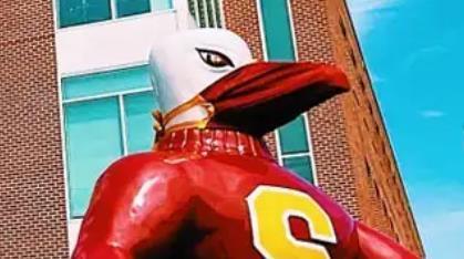 Sammy Sea Gull with Mask