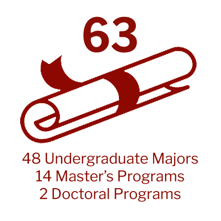 63: 48 Undergraduate Majors; 14 Master's Programs; 2 Doctoral Programs