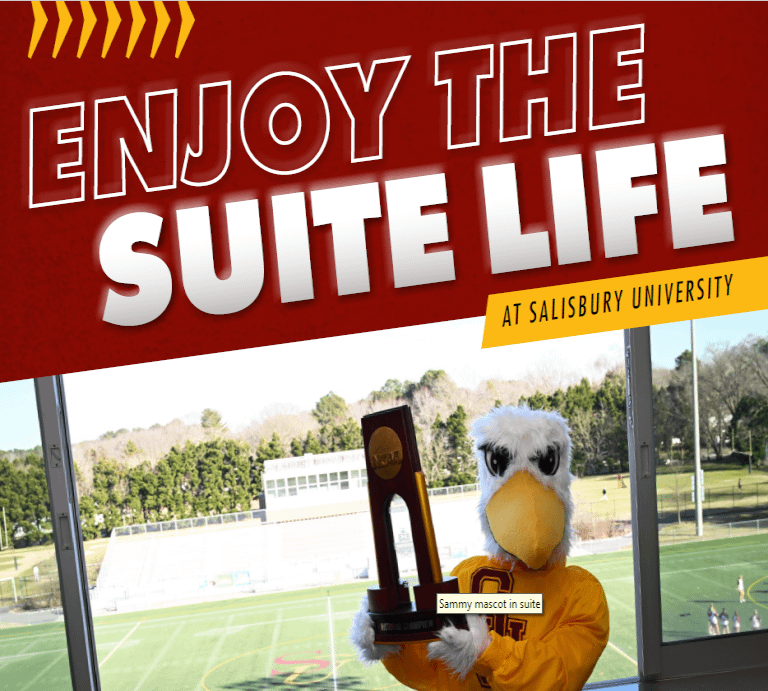 Enjoy the suite life - Sea Gull Stadium rent a suite flyer image