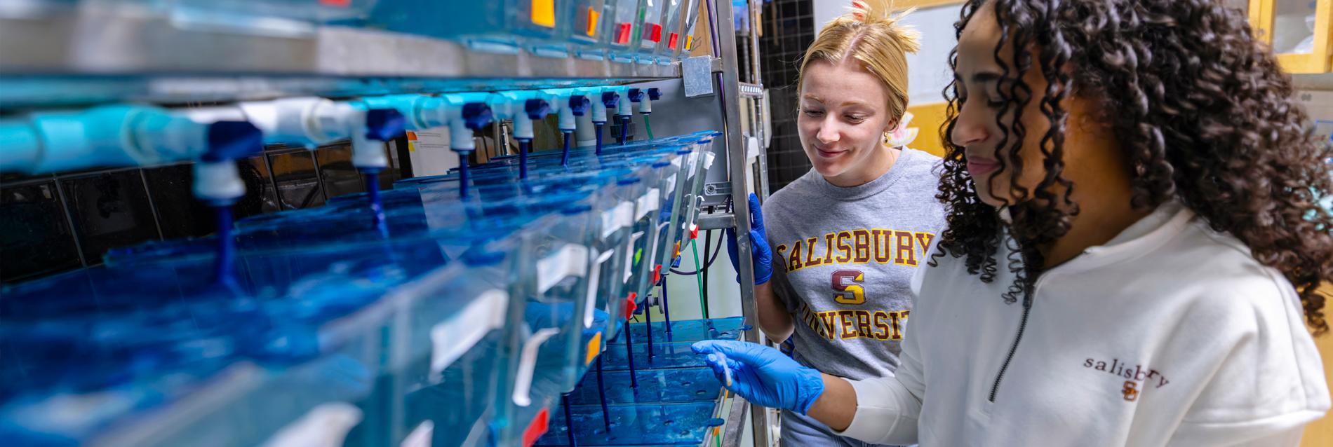 Two Students conduct research in lab wish fish tanks