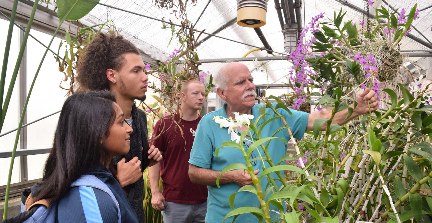 teacher showing students plants in greenhouse