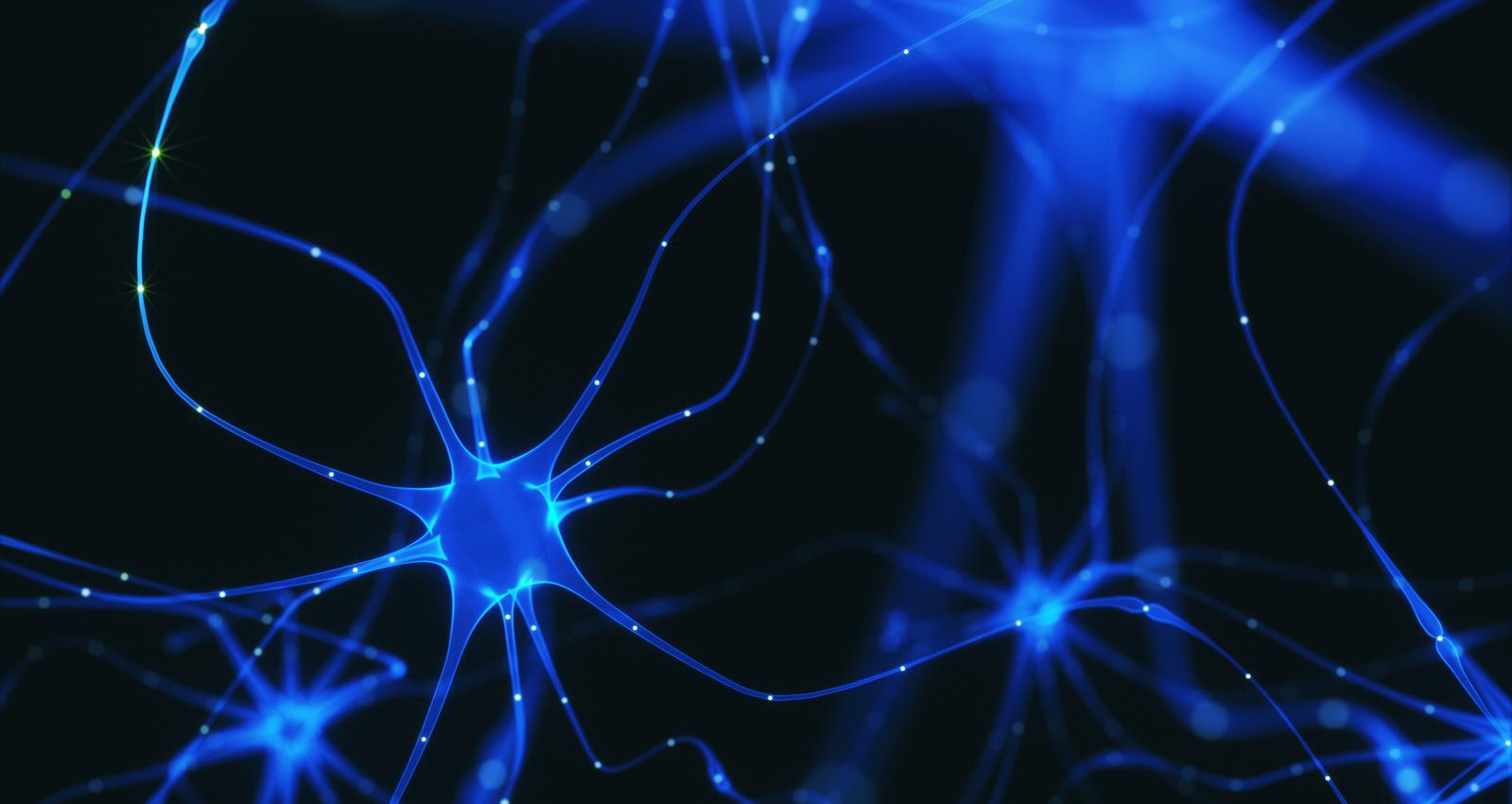 computer generated image on neurons