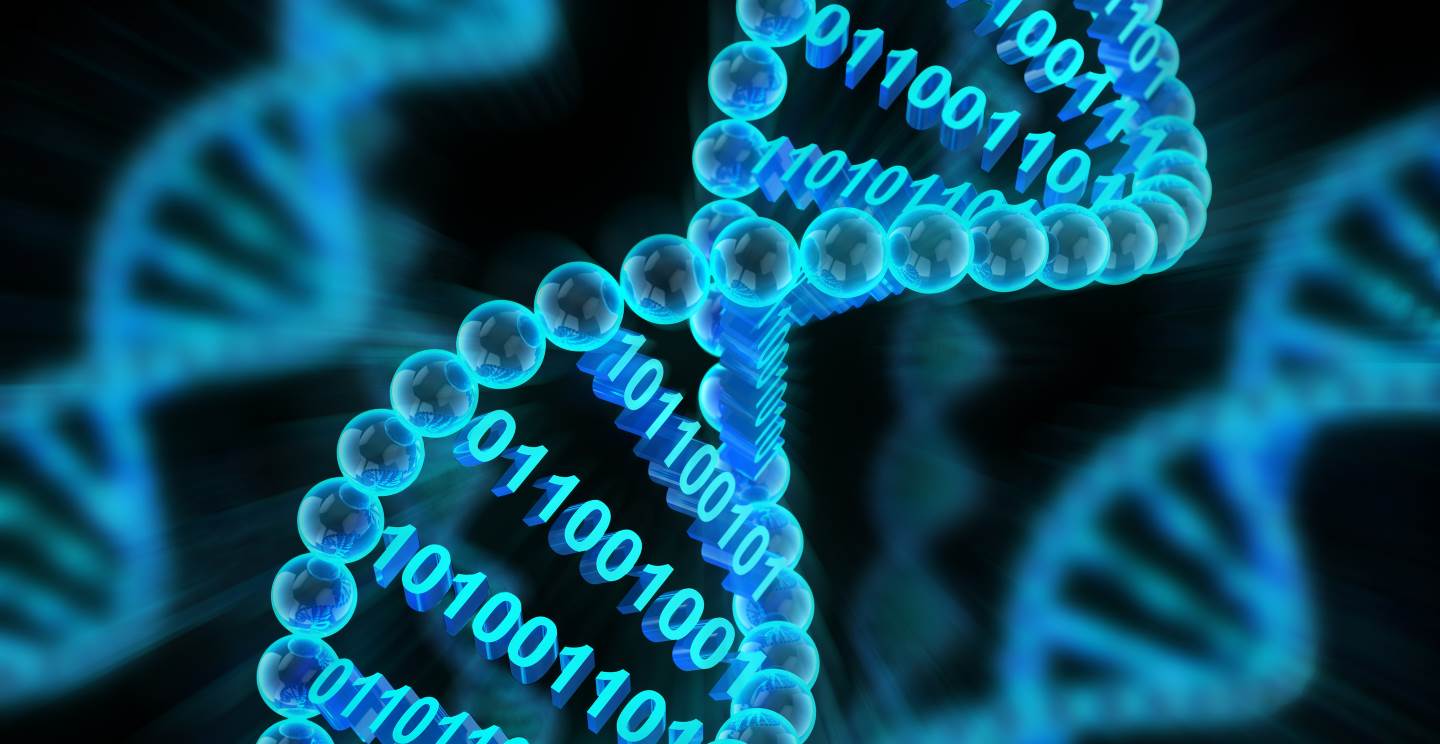 DNA molecules, studied as part of the Data Science Major