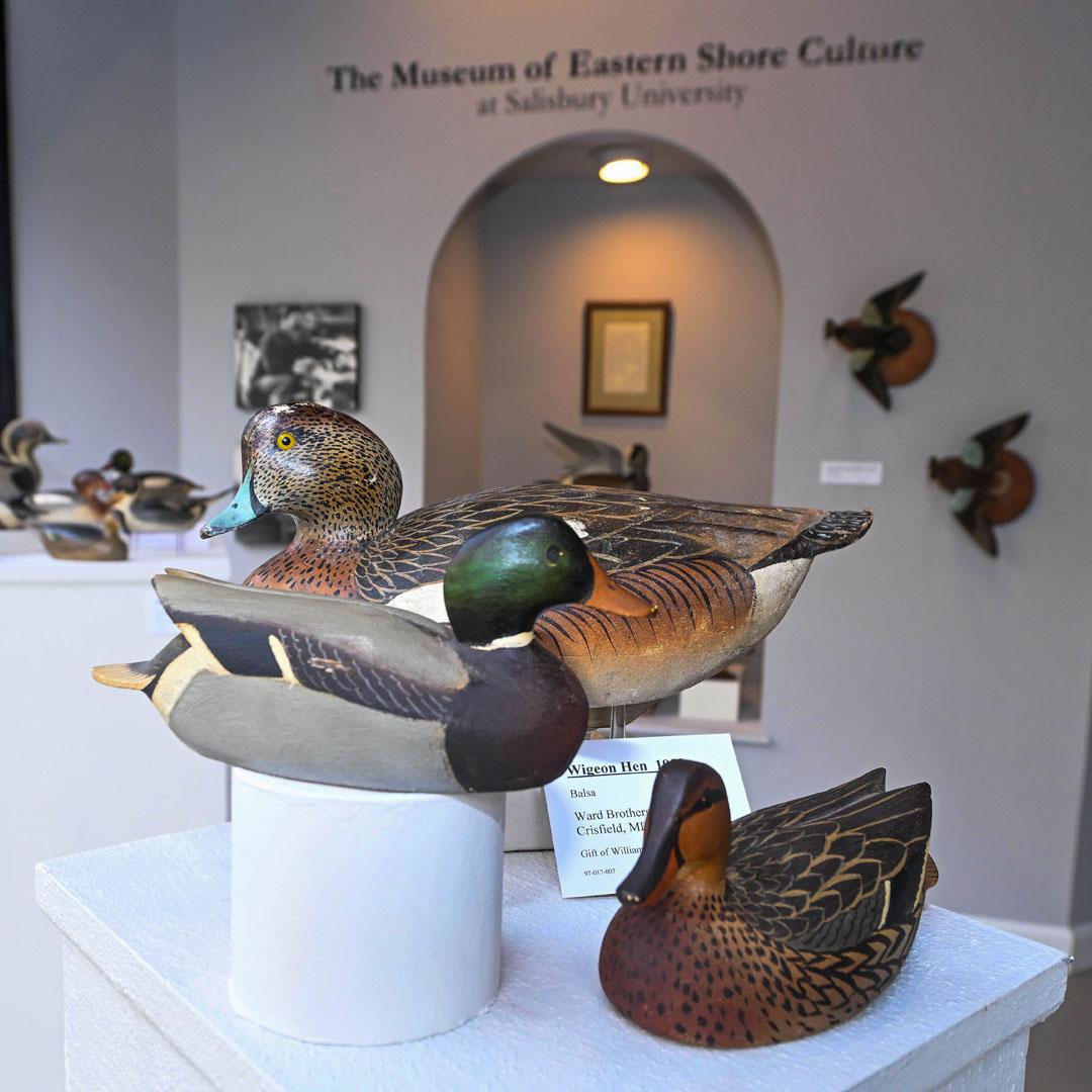 Museum of Eastern Shore Culture entrance with wood carvings of ducks on display