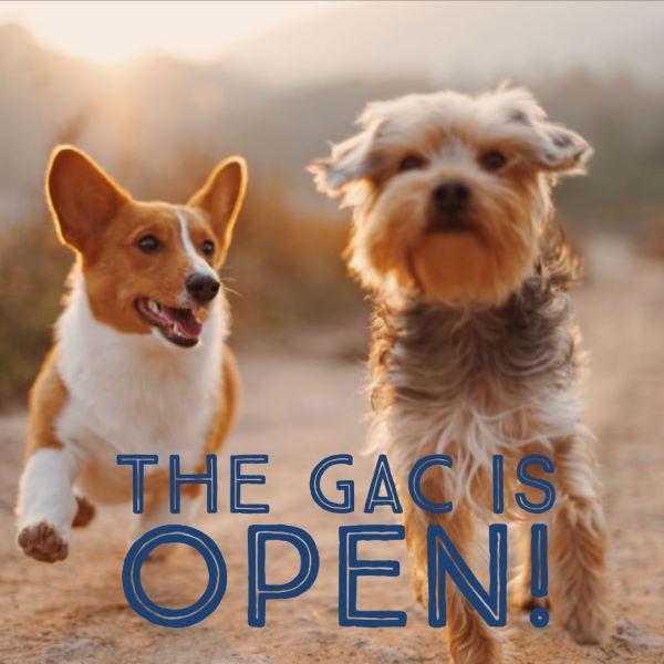 Two dogs running side by side with text "The GAC is Open!"