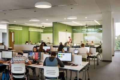 Students working in Library