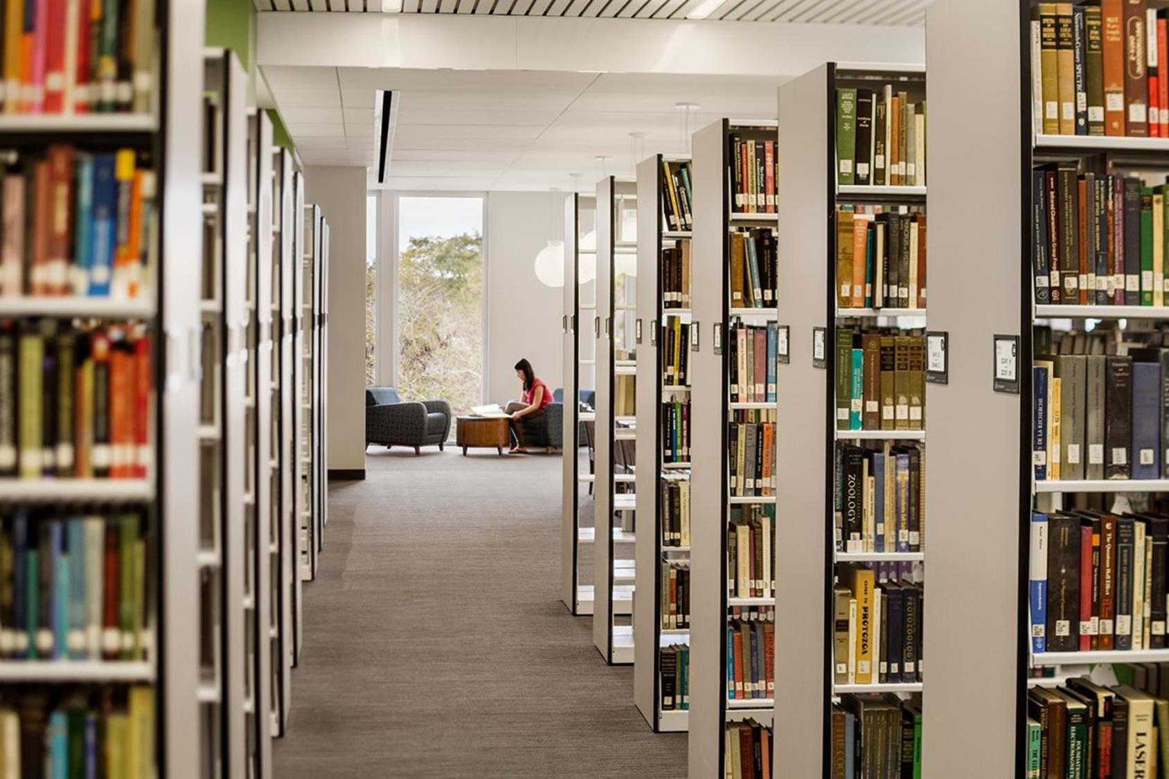 Shelves of books with a student studying in the distance