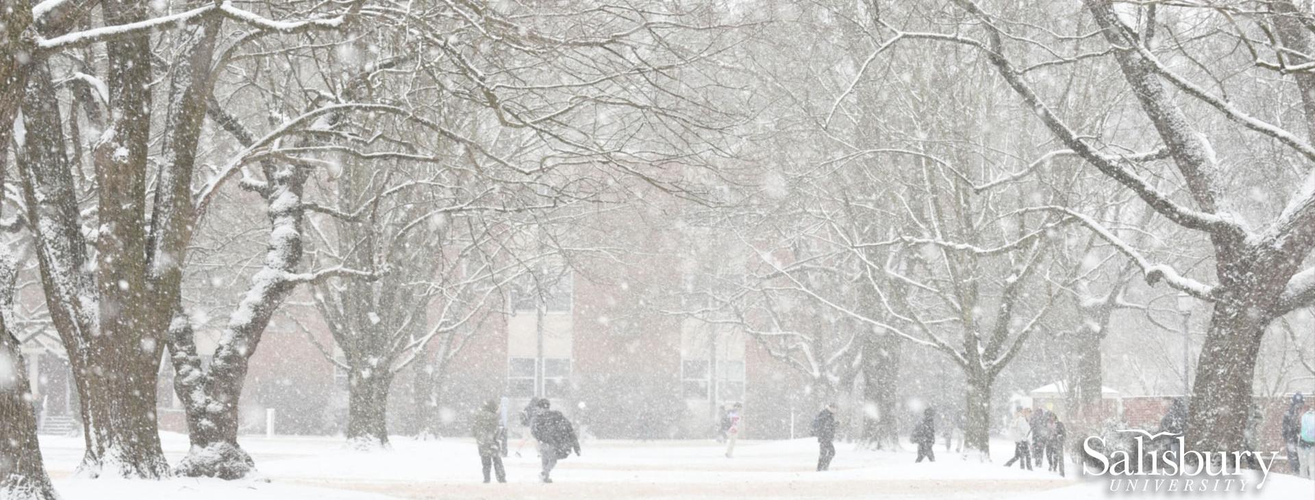 Students walking in snow on campus